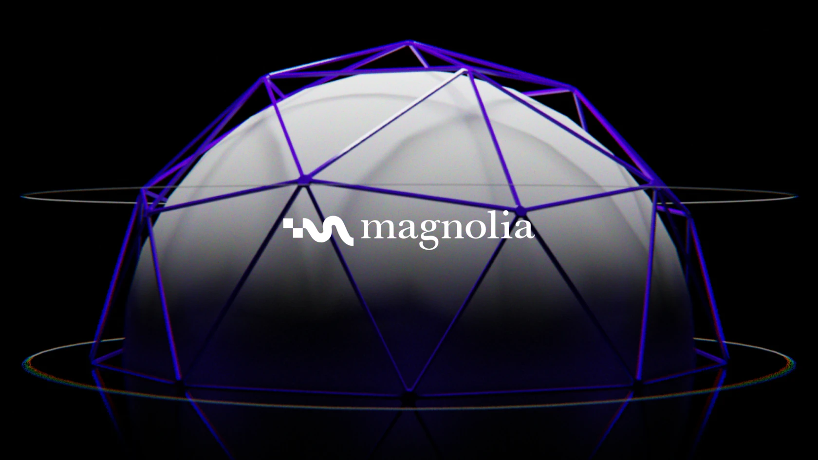 Teilausschnitt geometrische Kugel mit Logo vom IT-Dienstleister Magnolia in der Mitte.