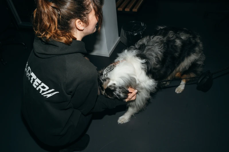 Mitarbeiterin mit Bürohund